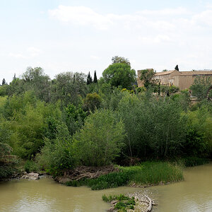 DSD_9901.jpg