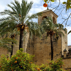 DSD_9920.jpg