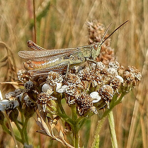 DSCN3468 Kopie.jpg