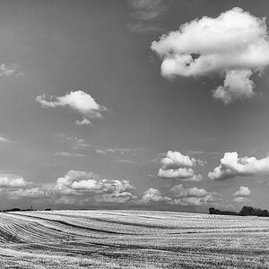 D71_6419x.JPG