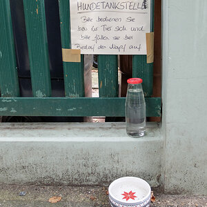 Hunde/Menschen/Tankstelle