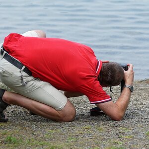 Der Fotograf II