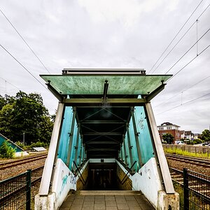 TZ_ZIM_9293.jpg