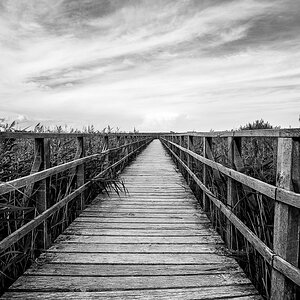 _DSC7181-Bearbeitet-1.jpg