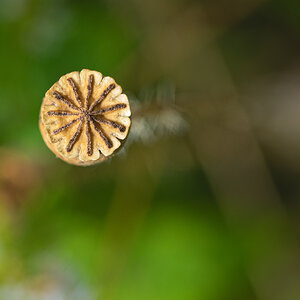 OF2_31248.jpg