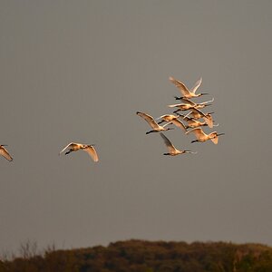 2019_15908.jpg