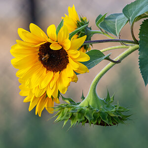 OF2_31488.jpg