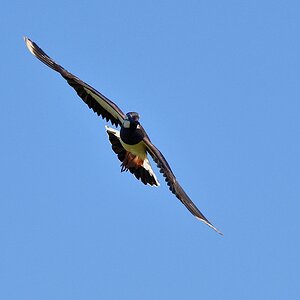 2019_16012.jpg