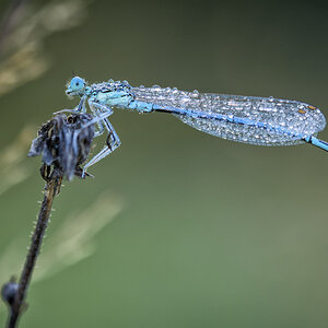 _D715528-Bearbeitet-3-Bearbeitet-Bearbeitet.jpg