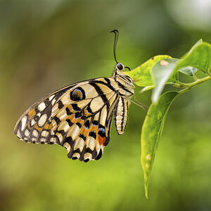 _D715582-Bearbeitet-2-Bearbeitet-Bearbeitet.jpg