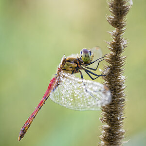 _D715660-Bearbeitet-3-Bearbeitet-Bearbeitet.jpg