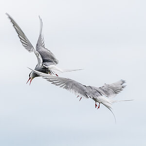 20190716_ND5_4655NF.jpg