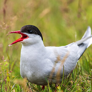 20190716_ND5_4643NF.jpg