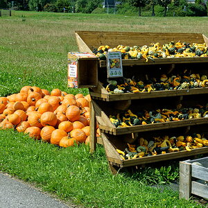 DSC_1089dxo1200.jpg