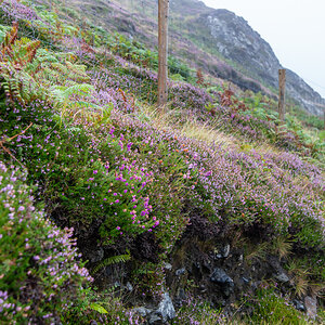 190822 Irland-1.jpg