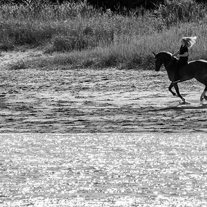 _D717330bw.JPG