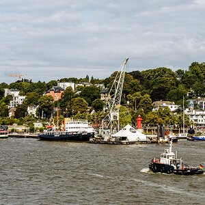 TZ_ZIM_9356.jpg