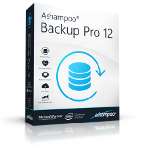 backup_pro.png