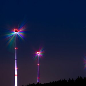 850_8589.JPG
