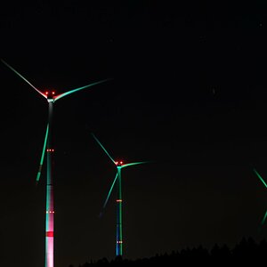 850_8606.JPG