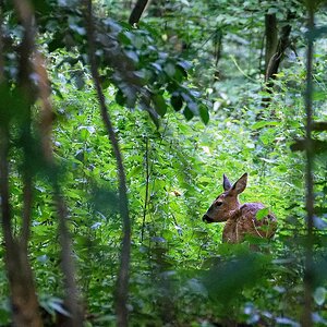 Versteckt