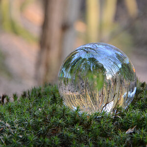 DSC_8658 Glaskugel