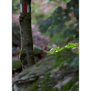 CasDSC_2289.jpg