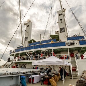 TZ_ZIM_9540.jpg