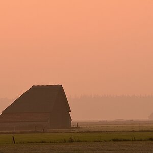 2019_14226.jpg