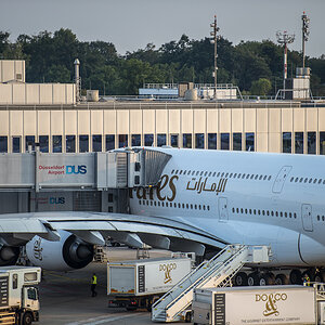 A3803.jpg
