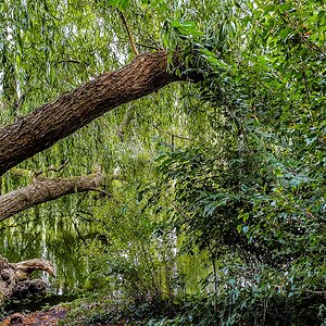 TZ_2019-08-27_12-32.jpg