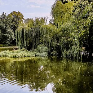 TZ_2019-08-27_12-33.jpg