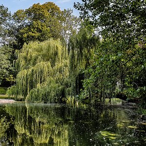 TZ_2019-08-27_12-34.jpg