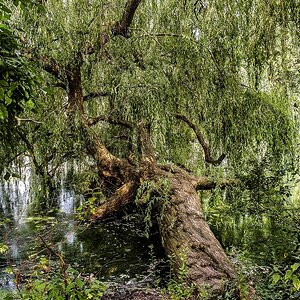 TZ_2019-08-27_12-35.jpg
