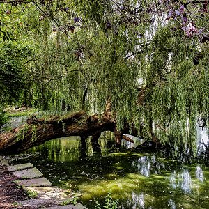 TZ_2019-08-27_12-36.jpg