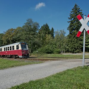 DSC_9909.jpg