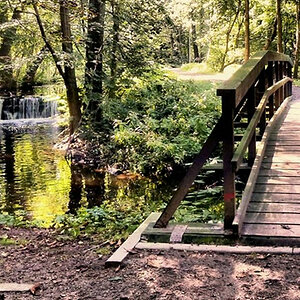 Brücke im Kneippgelände der Burg Bodenteich.jpg