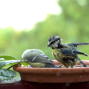 DSC_0370_00001.jpg