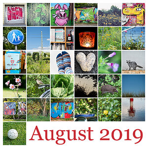 Mosaik August 2019