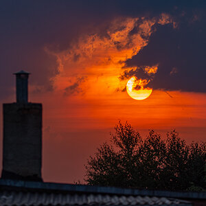 OF2_32269.jpg