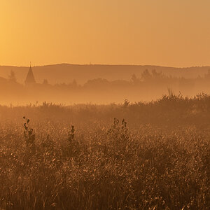 Mehlinger_Heide_008.jpg