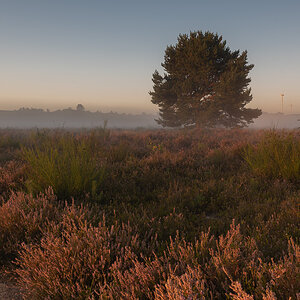 Mehlinger_Heide_007.jpg