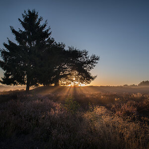 Mehlinger_Heide_005.jpg