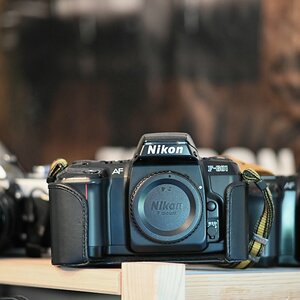 comp_GZ6_5058_DxO .jpg