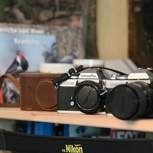 comp_GZ6_5060_DxO .jpg