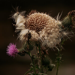 _DSC7263-Bearbeitet-1.jpg