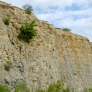 OF-59354.jpg