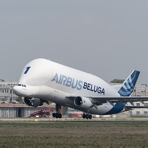Airbus Beluga 1