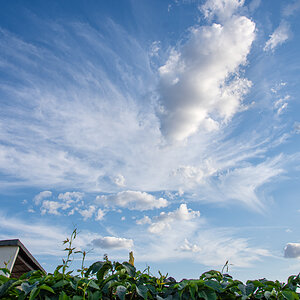 OF2_31621.jpg