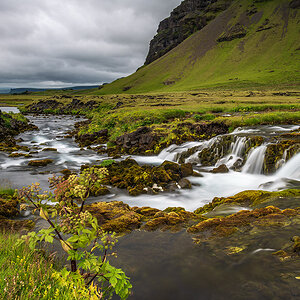 20190723_D850_1165NF.jpg